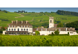 Pommard : la perle de la Bourgogne