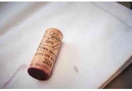 Guide vin : 2018, une année exceptionnelle pour le vin